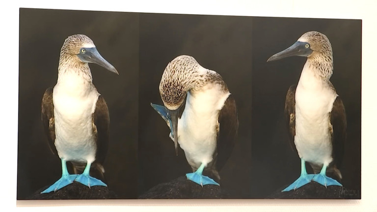Arlon : la nature dans une expo photo
