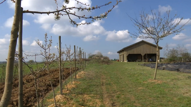 Habergy : Canopée, une coopérative micro ferme en agroforesterie