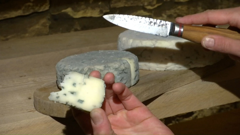 Prouvy : le bleu de brebis et le crottin de chèvre, meilleurs fromages au lait cru