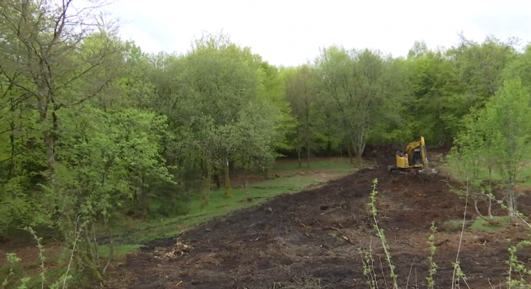 Les travaux du futur Zooparc Vallée de la Sûre ont débuté