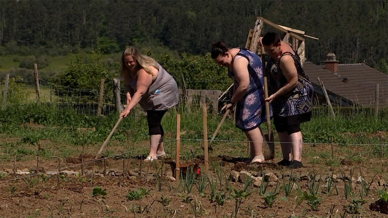 Wellin : donnez-nous des jardins...