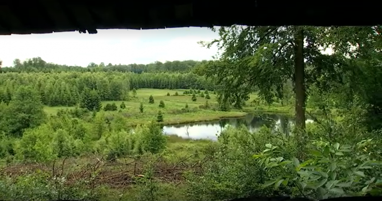 Création de 2 parcs nationaux en Wallonie : l’appel à projets est lancé