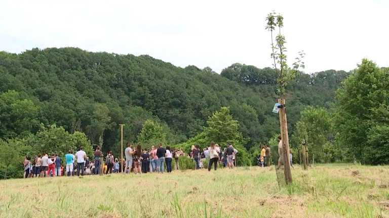 La commune de Rendeux plante un arbre par nouveau né 