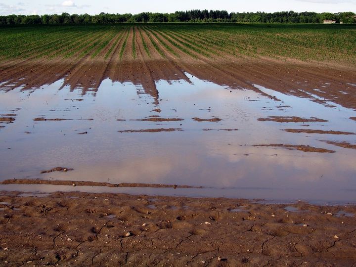 Intempéries : le sud de la province aussi touché, mais la situation reste sous contrôle