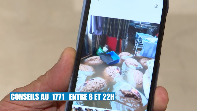 Assurances: faire des photos et conserver des preuves