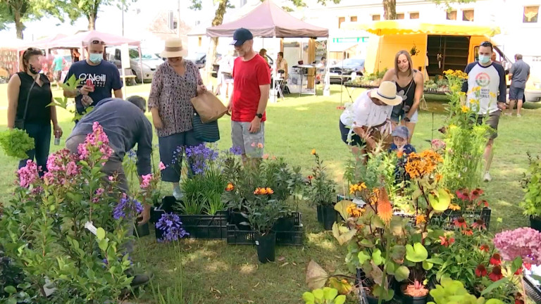 Fauvillers renoue avec sa foire aux plantes