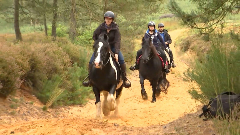 Equitrail au camp Lagland : une première depuis 3 ans