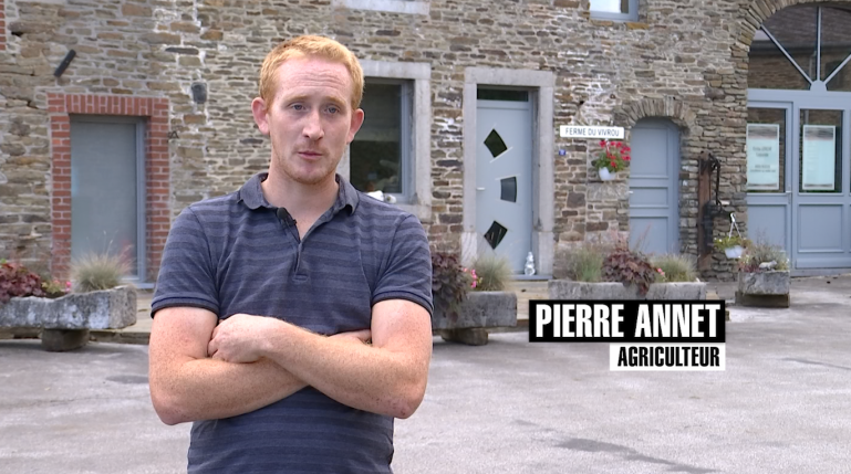 La Ferme du Vivrou et son bétail limousin