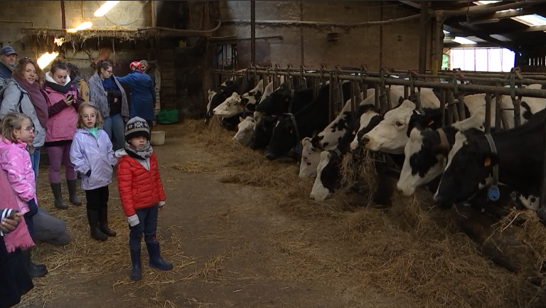 Des résidents de l'IMP "La Providence" chez nos agriculteurs