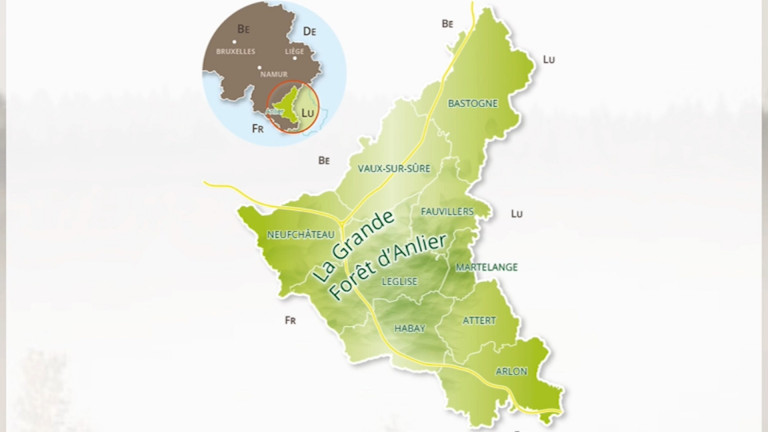 La Forêt d'Anlier, candidate pour devenir parc national