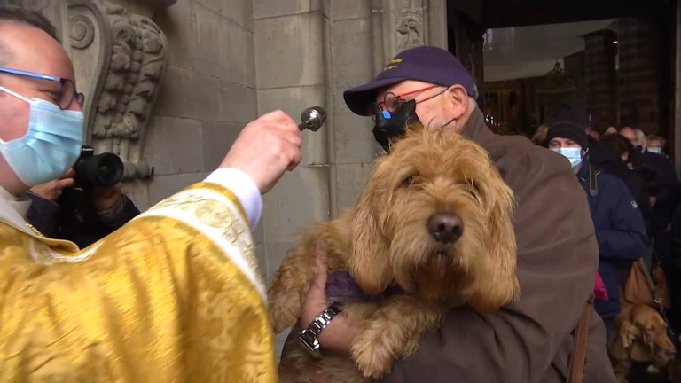 Beaucoup de monde pour la Saint-Hubert et la bénédiction des animaux