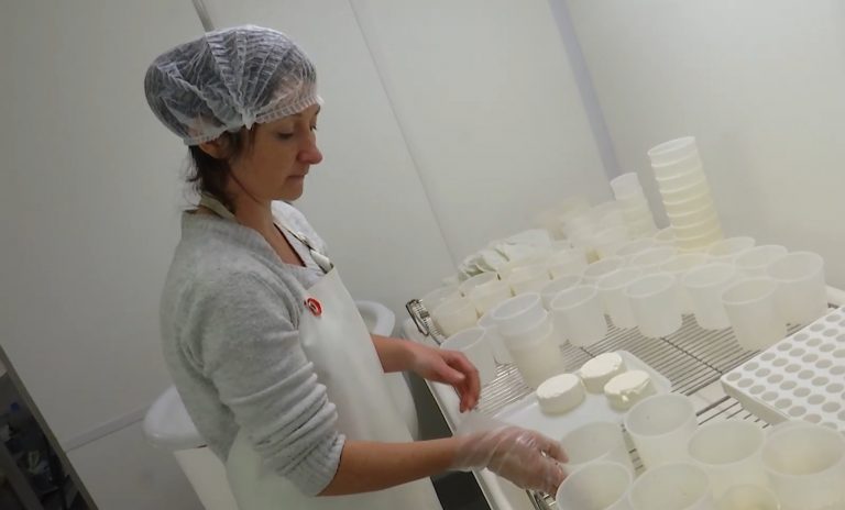 Les Alpines de la Core remportent le concours du meilleur fromage frais au lait cru de Wallonie