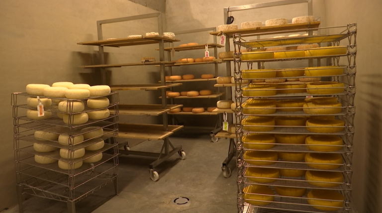 Fromagerie du Samson : un atelier innovant à Marche