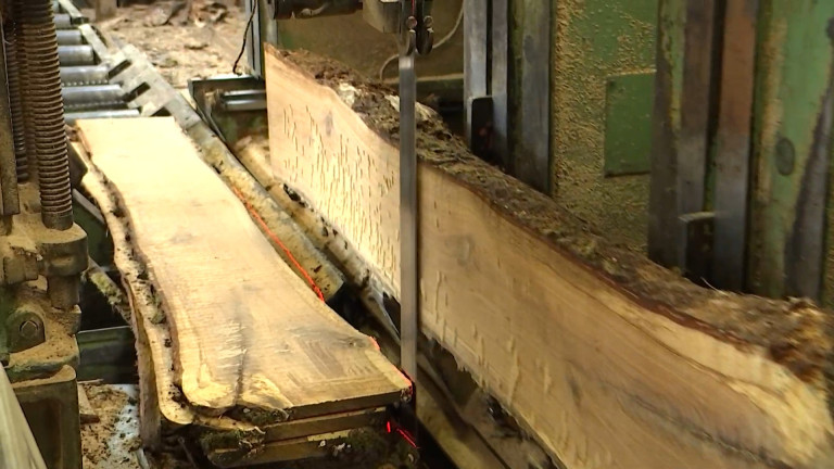 Quel avenir pour nos scieries victimes des exportations en Chine ?