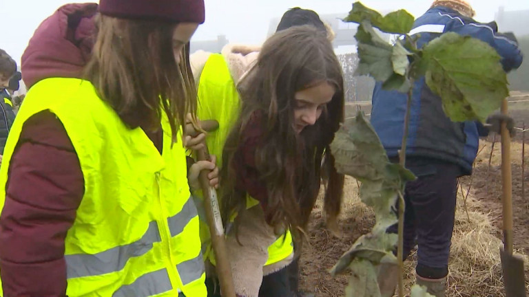 Une nouvelle mini forêt urbaine à Arlon et le point à Barvaux