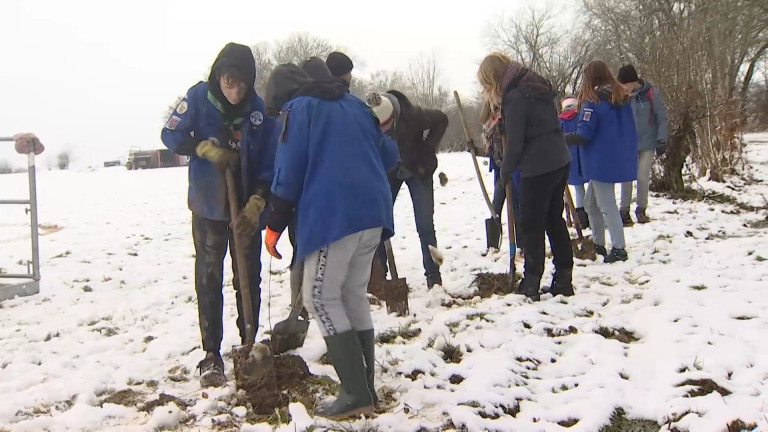 1000 arbustes plantés par les scouts de Sibret 