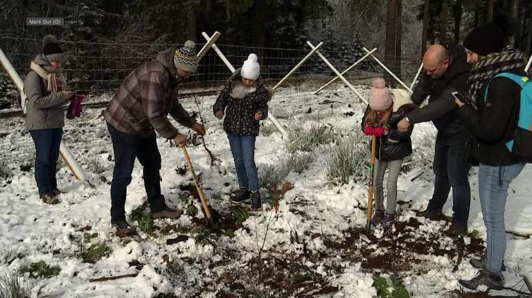 Nassonia : 13 000 arbres financés par une caisse d'allocation familiale