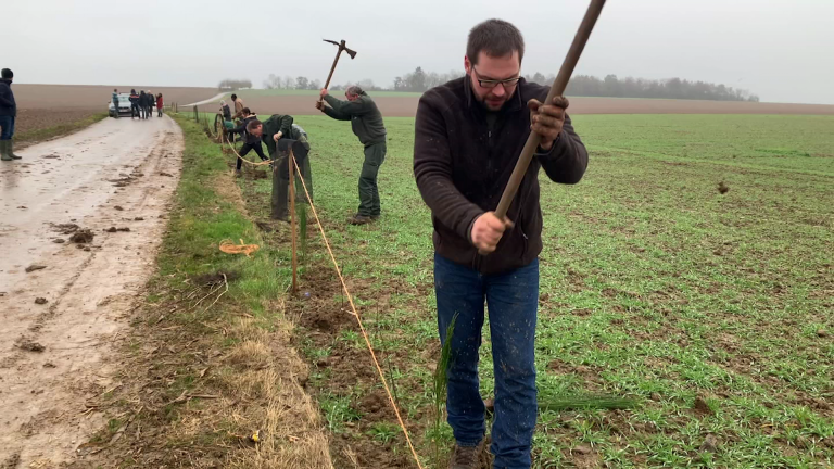 Marche-en-Famenne. Mille plants pour lutter contre l'érosion du Gerny