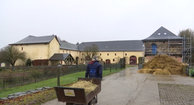 Vaux-sur-Sûre : la ferme du Monceau lance un appel à l'aide