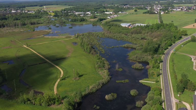 1016 ha de réserves naturelles en plus en Région wallonne. La plupart en Luxembourg.