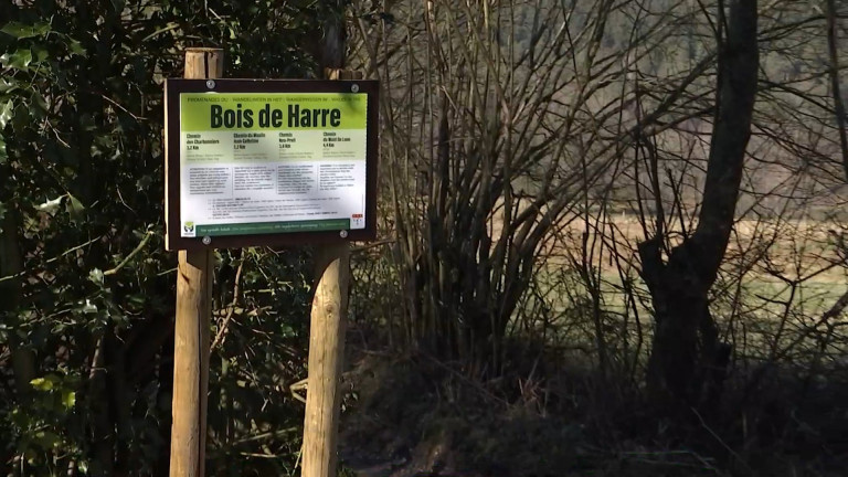 Manhay : les chemins du bois de Harre reconnus d’utilité publique