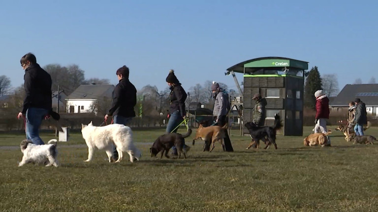 Le club canin de Libramont fête son 25ème anniversaire