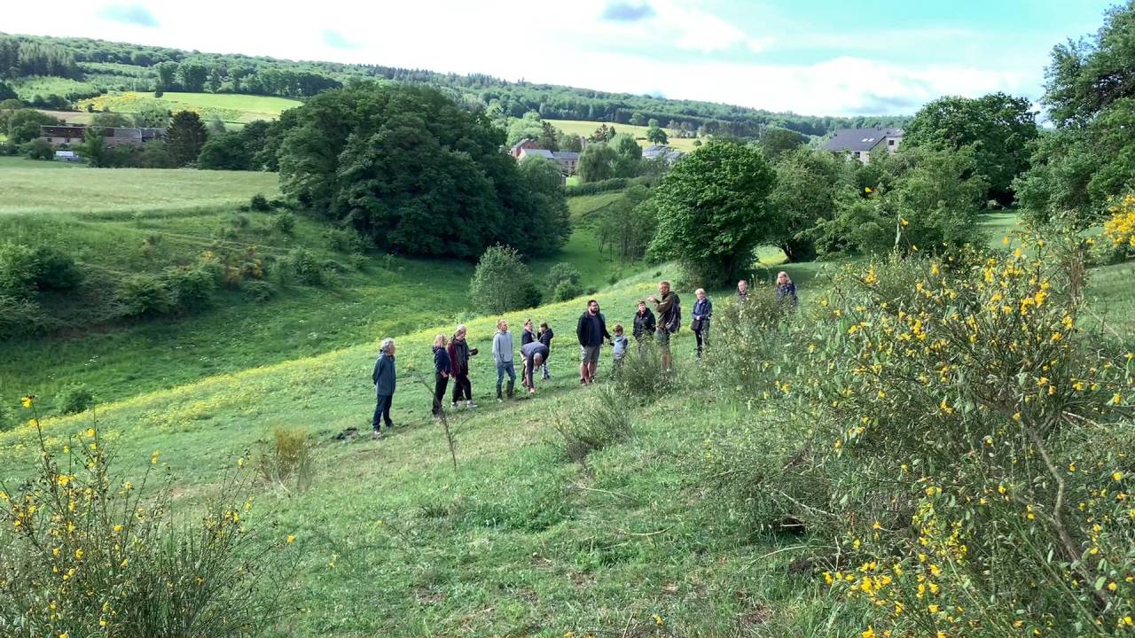 Natagora dévoile les trésors de la nouvelle réserve naturelle de Menil-Favay (Hotton)