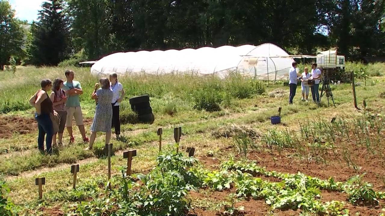 Aubange : découverte du jardin participatif et solidaire lors de la journée consom'acteur
