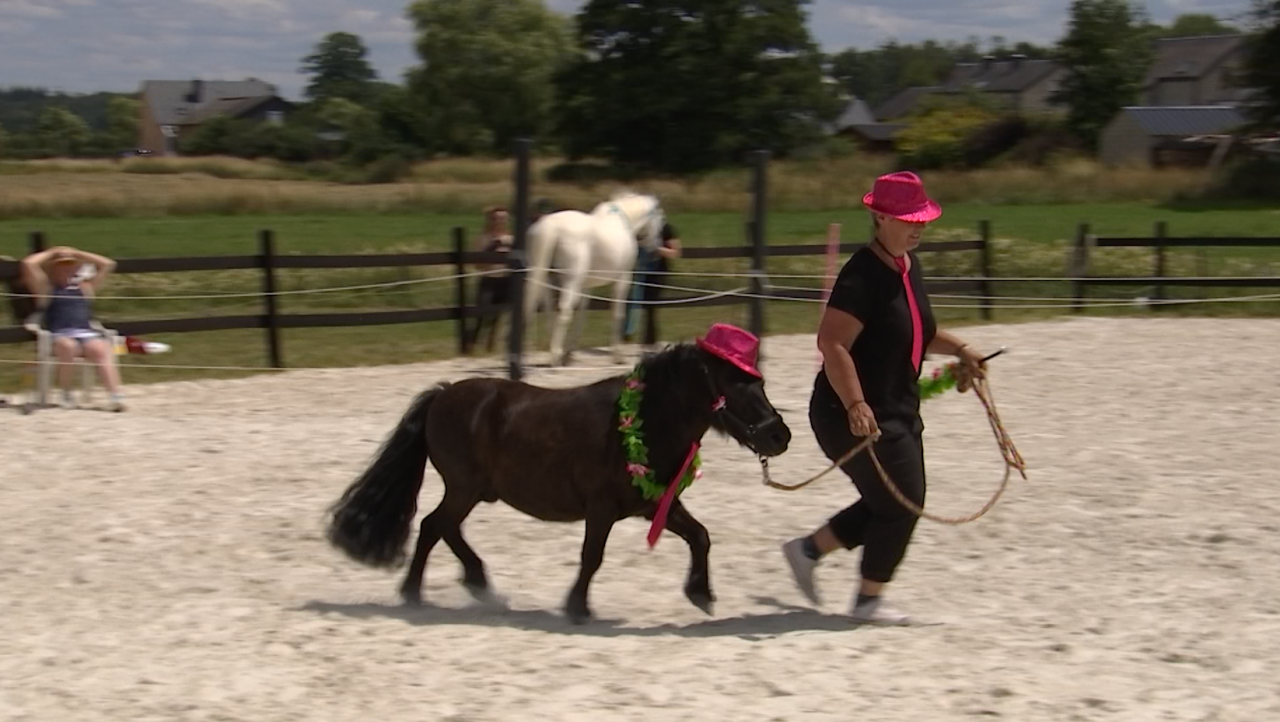 Etalle : l'équidance, une discipline pour danser avec son cheval !