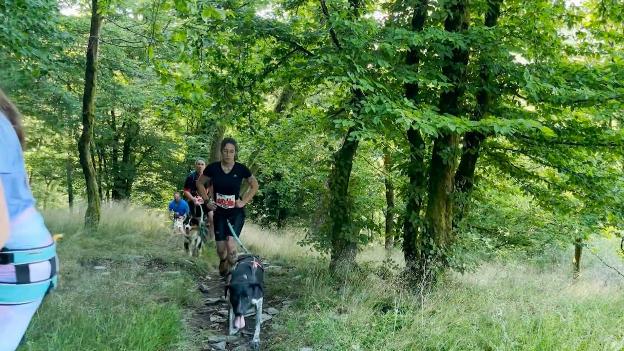 Festival Trail Semois à Herbeumont s'ouvre au canitrail