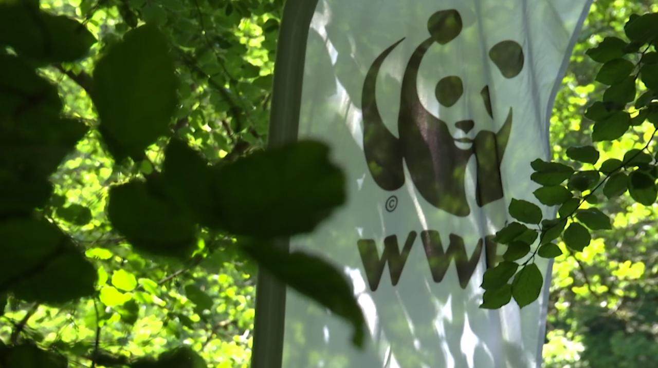 Deux parcs naturels s'associent au WWF pour la protection d'animaux