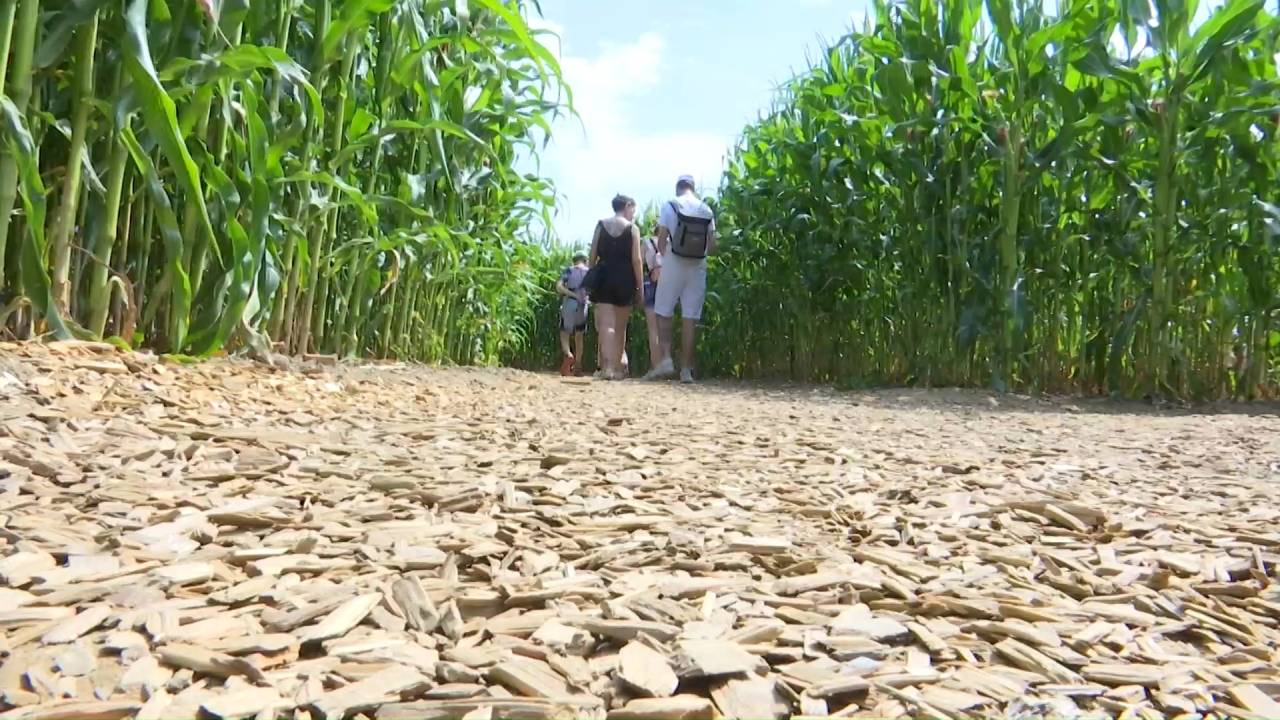 25 ans pour le Labyrinthe de Barvaux