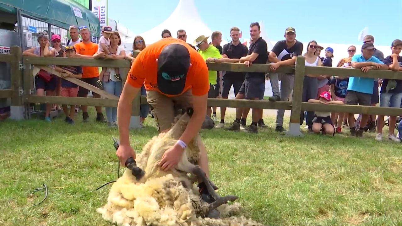 La Ferme enchantée : l'incontournable pour les enfants à la Foire agricole