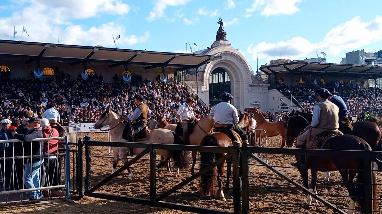 Deux chevaux de trait ardennais primés à la foire agricole... en Argentine