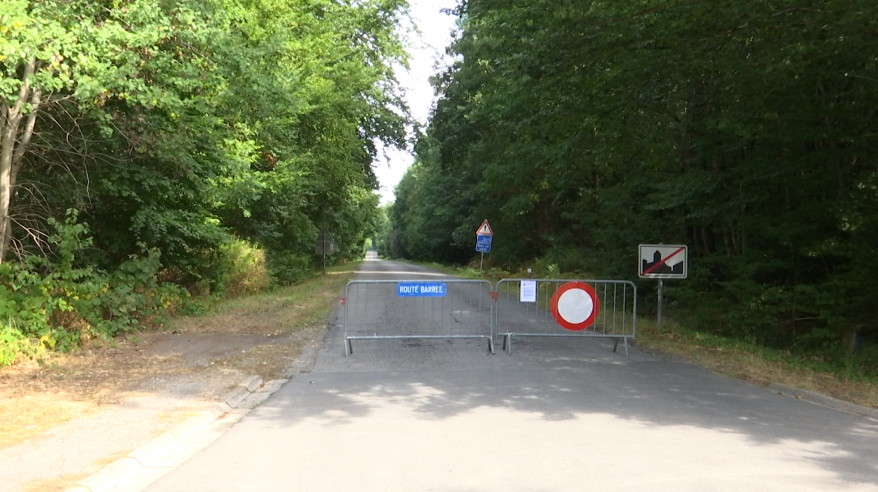 La forêt d'Anlier interdite à tous les usagers