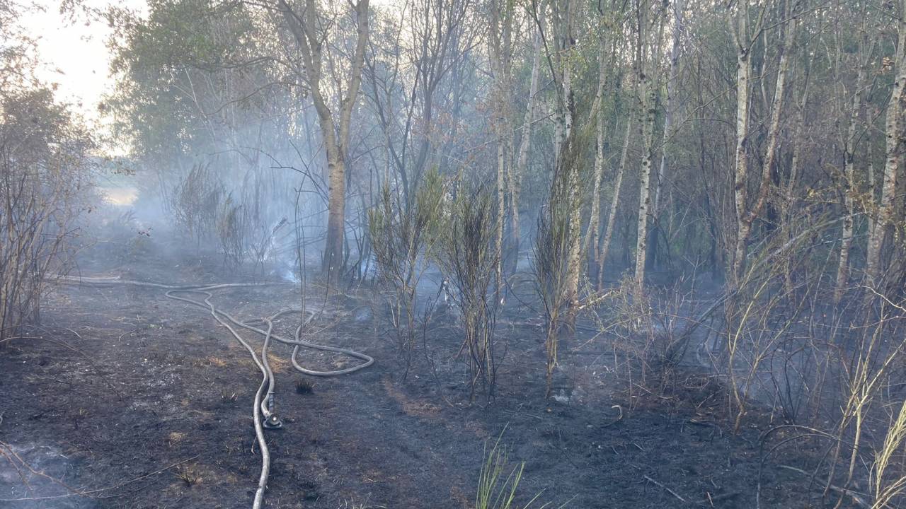 Tellin. Un incendie de champ et de brousailles maîtrisé à temps