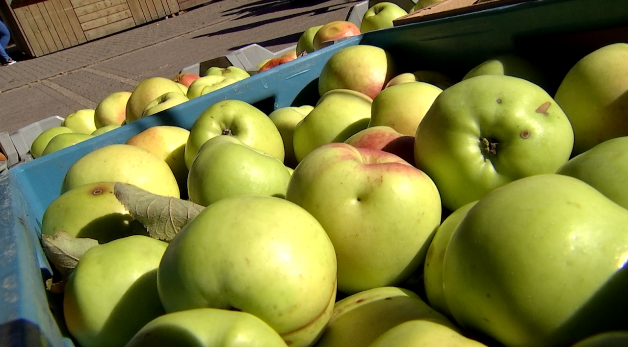 Rachecourt : beaucoup de pommes, moins de bouteilles