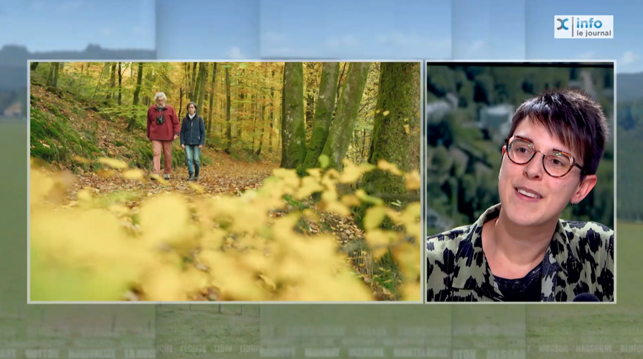 Des capsules vidéos pour rappeler les règles à suivre en Grande Forêt de Saint-Hubert
