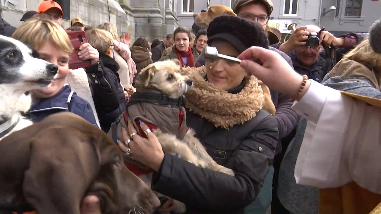 Bénédiction des animaux et messe sonnée de saint Hubert