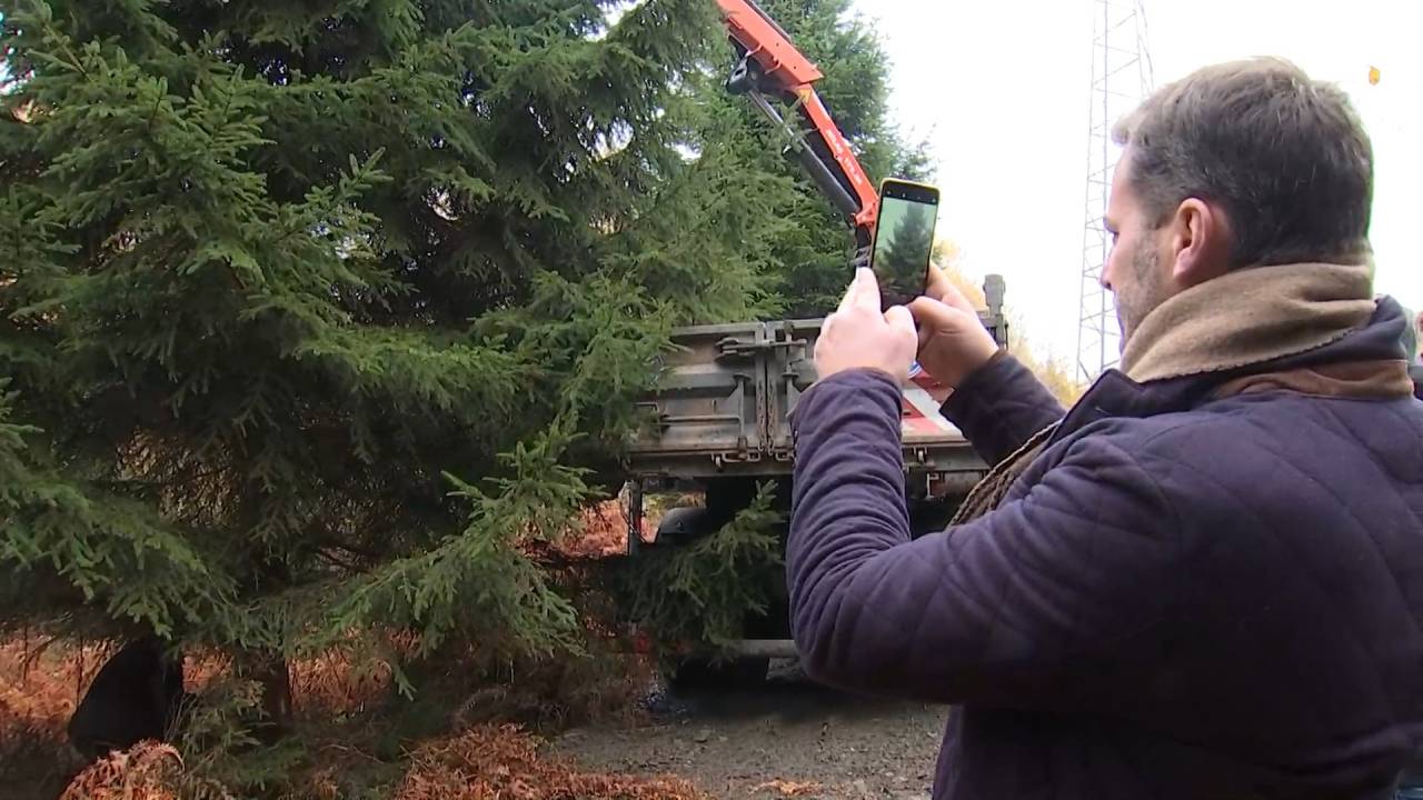 Des sapins rochois à La Panne et Renaix, cadeaux après l'aide apportée durant les inondations