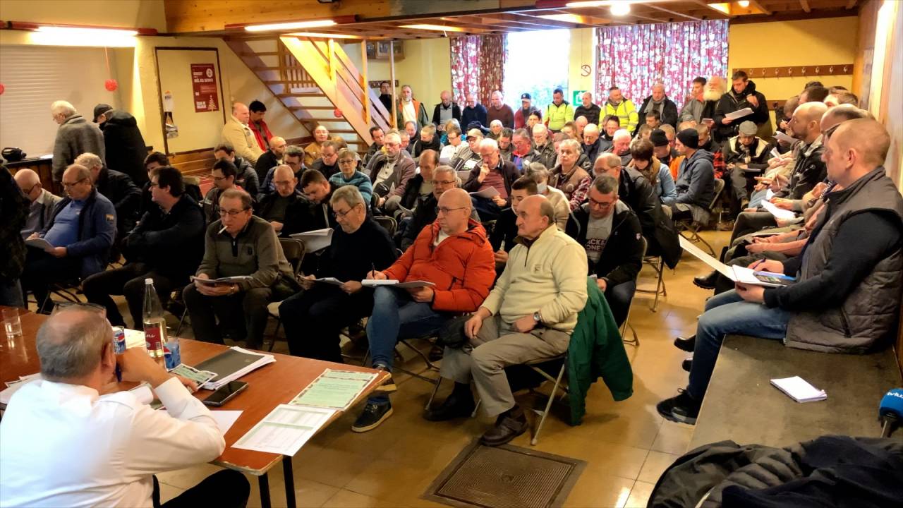 A Vielsalm, la vente de bois de chauffage réservée aux habitants