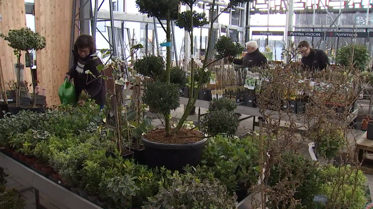 La jardinerie de l'année se trouve à Libramont