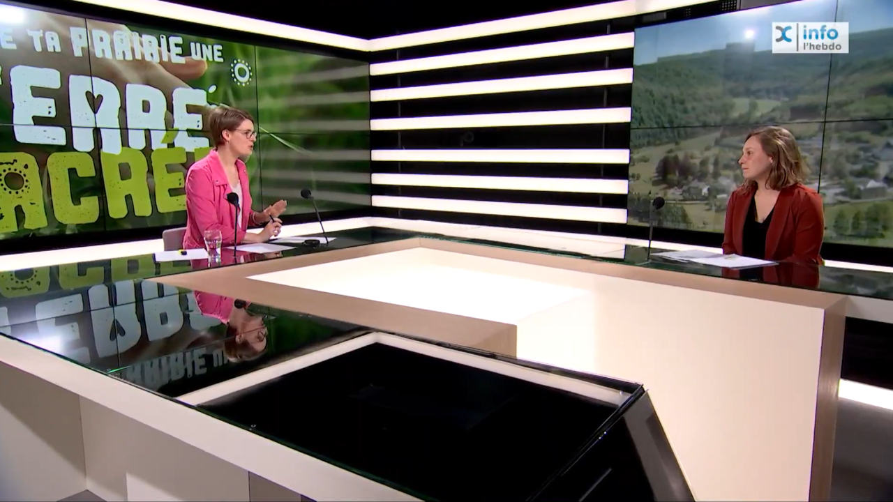 De nombreux mouvements de jeunesse toujours à la recherche d'un endroit de camp pour cet été