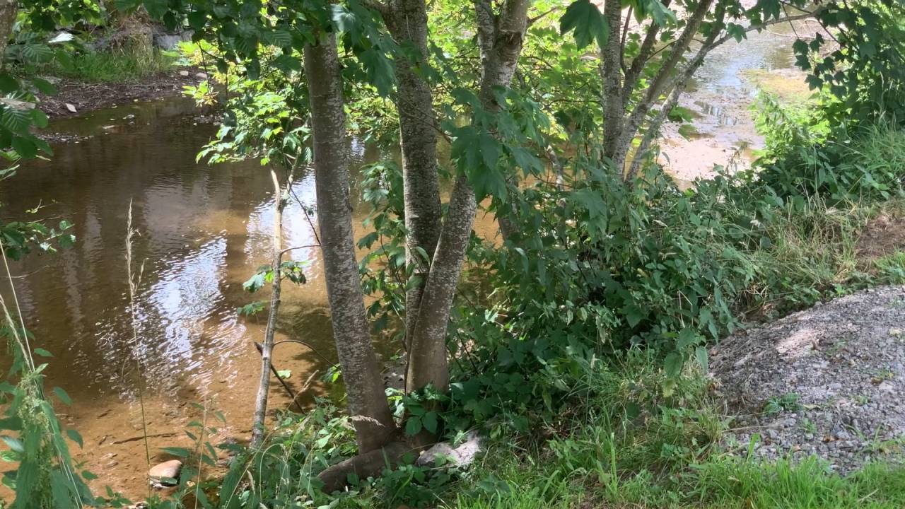 Province : les projets pour prévenir les inondations