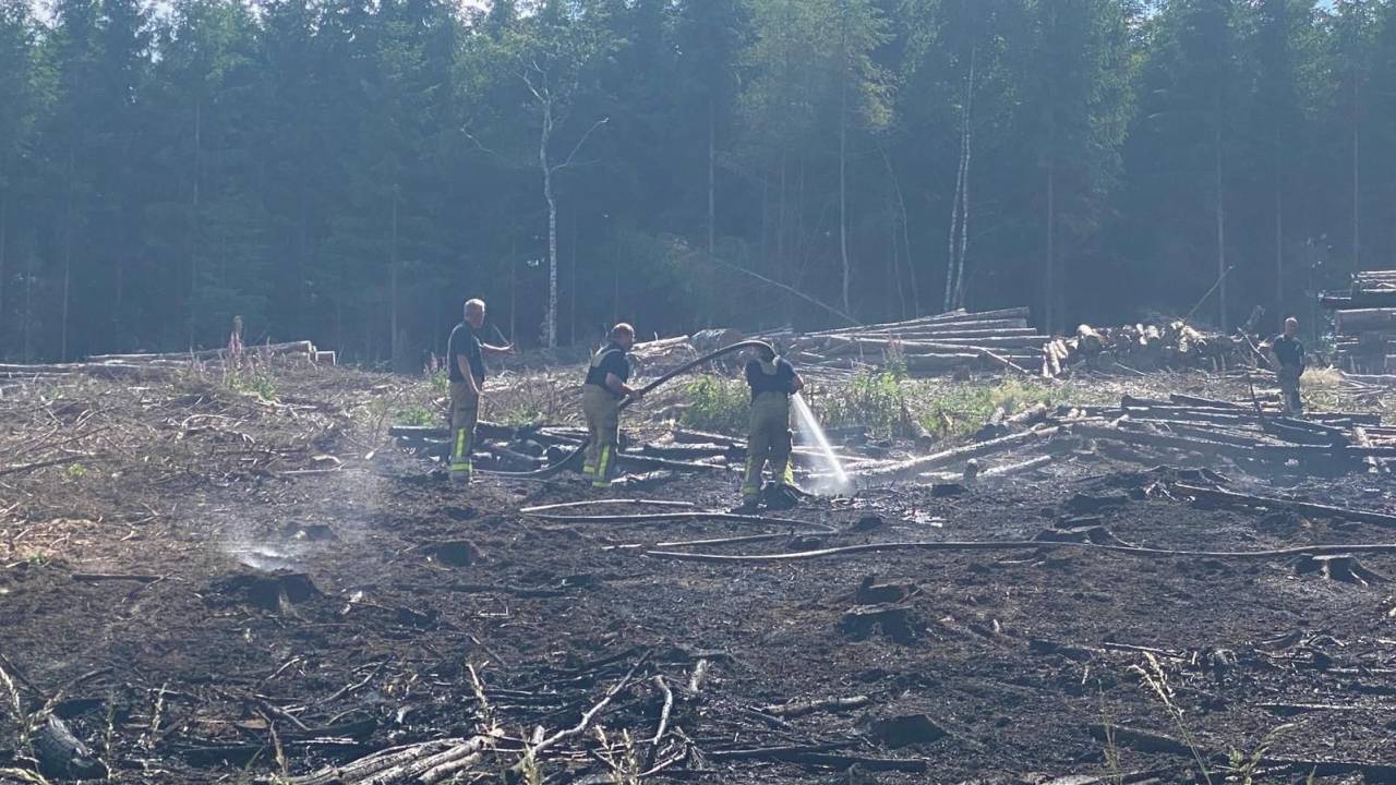 Sécheresse : incendies maîtrisés à Paliseul et Bastogne