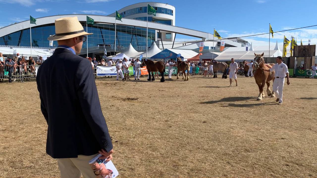 La Foire agricole de Libramont revient du 28 au 31 juillet