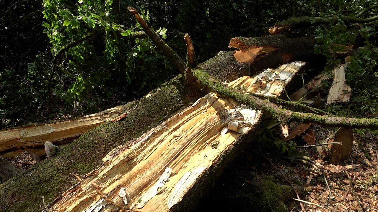 Une tornade très localisée à Menuchenet (Bouillon) durant les orages du jeudi 22