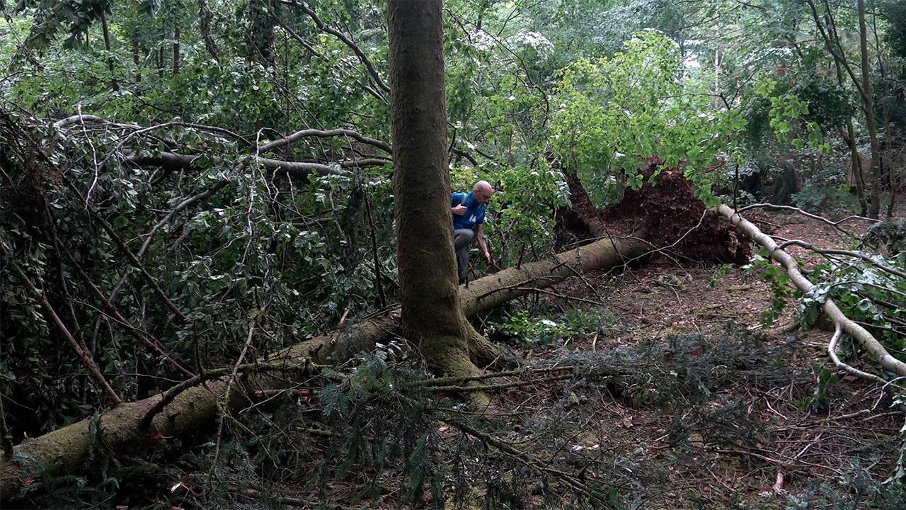 Tornade à Bouillon : l'IRM confirme 