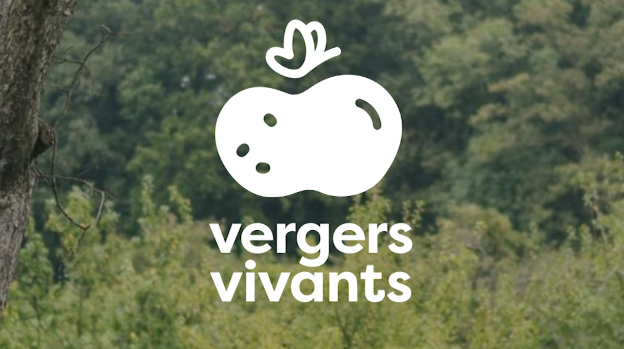 Un label pour promouvoir les fruits naturels des vergers hautes tiges