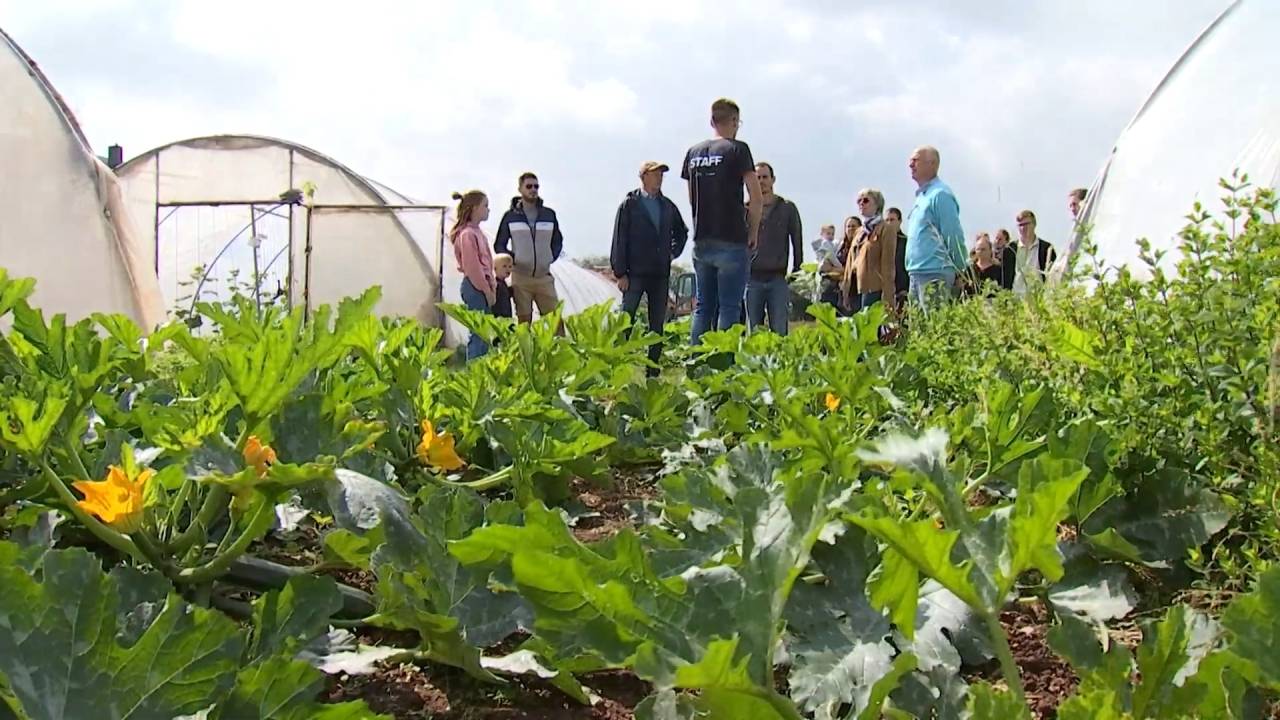 Habay : Local et bio, le cheval de bataille du domaine Bio-Vallée